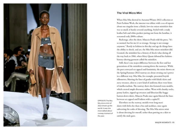 Little Book of Miu Miu - Image 3