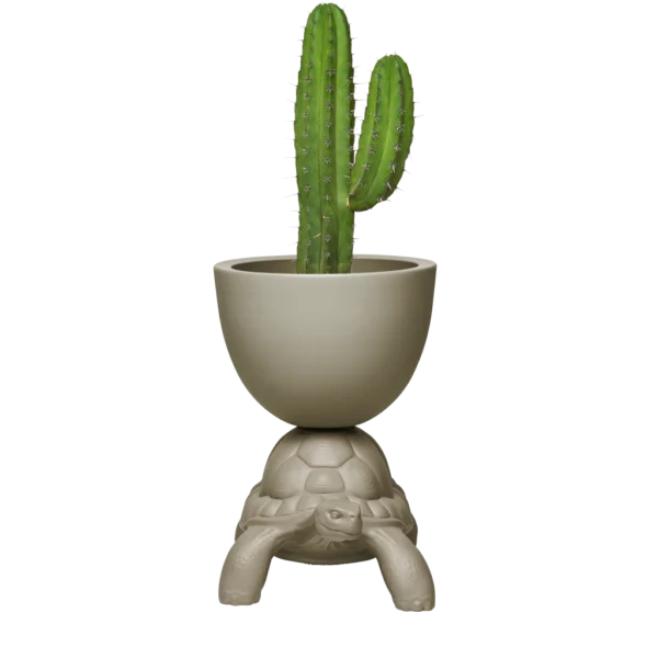 Turtle Carry Planter and Champagne Cooler Design by Marcantonio - Image 2