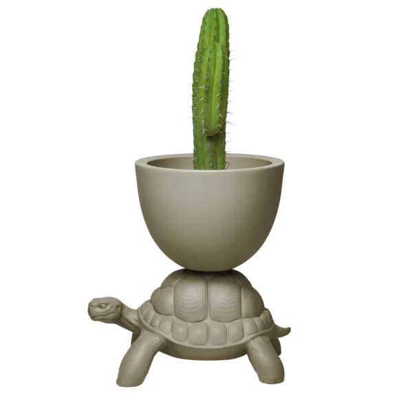 Turtle Carry Planter and Champagne Cooler Design by Marcantonio - Image 3