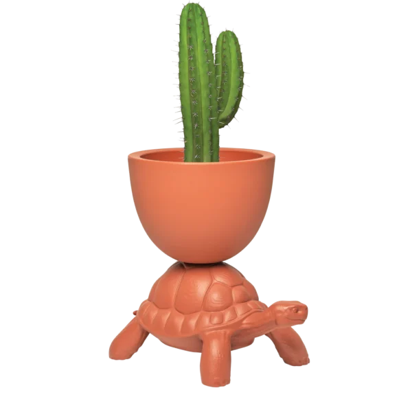 Turtle Carry Planter and Champagne Cooler Design by Marcantonio