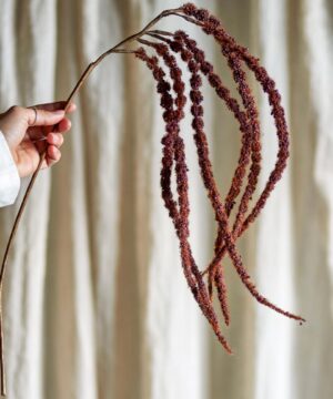 Foxtail Stem, Brown, Artificial Flowers